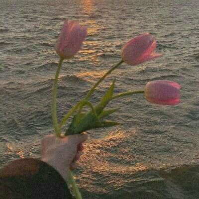 咪乐官方下载入口